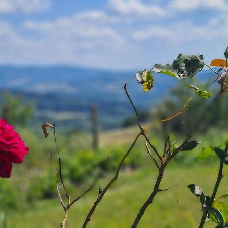 Appartamento Il Nido Volterra Exterior foto