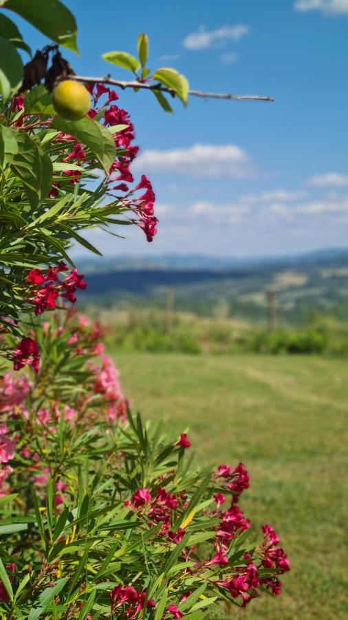 Appartamento Il Nido Volterra Exterior foto